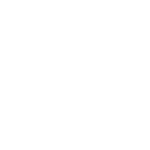 Fink The Artist